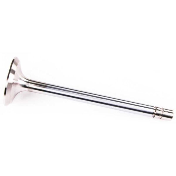 Exhaust Valve – R79624 / 01233