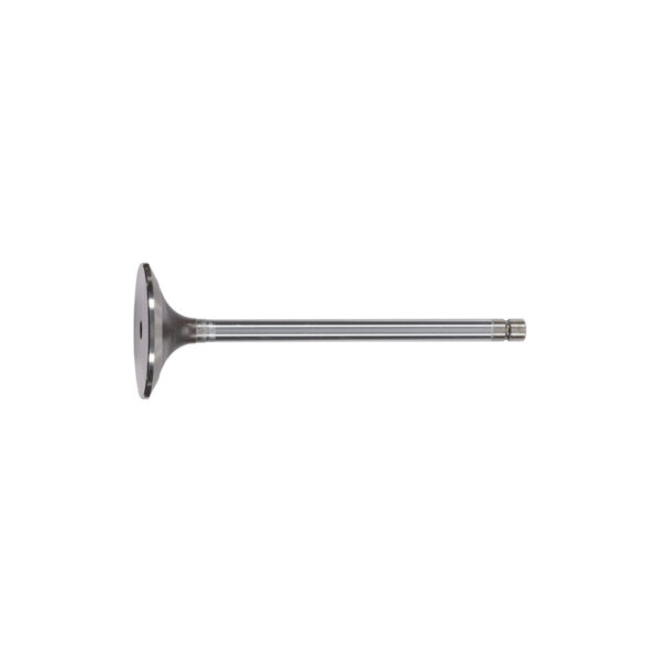 Intake Valve – R83074 | 01471S